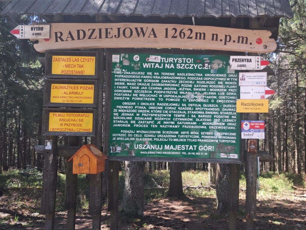 Radziejowa- szczyt