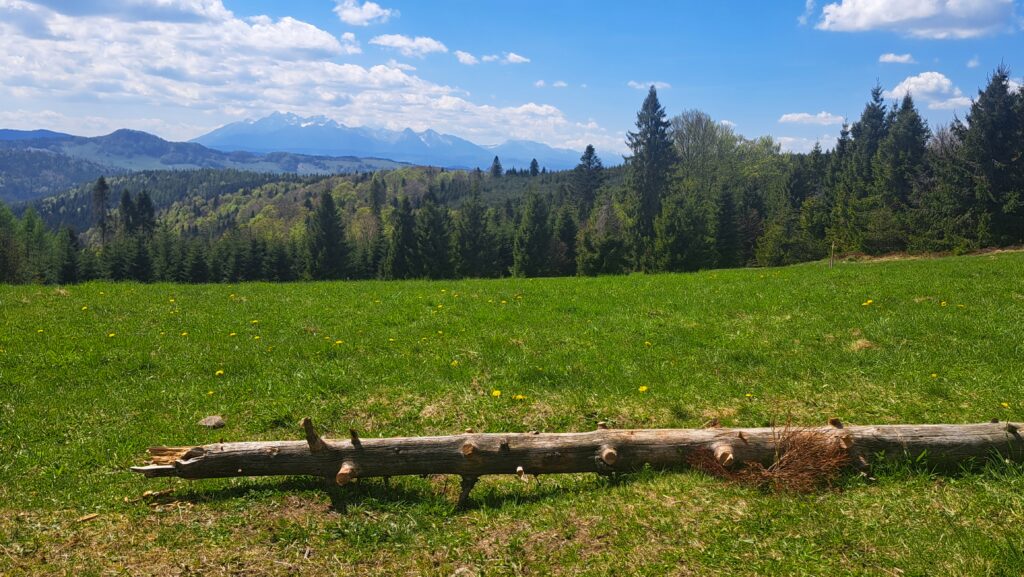 Tatry widziane z Polany Litawcowej