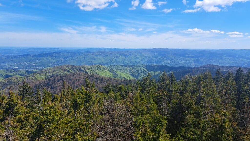 Z wieży- Beskid Sądecki i Beskid Niski