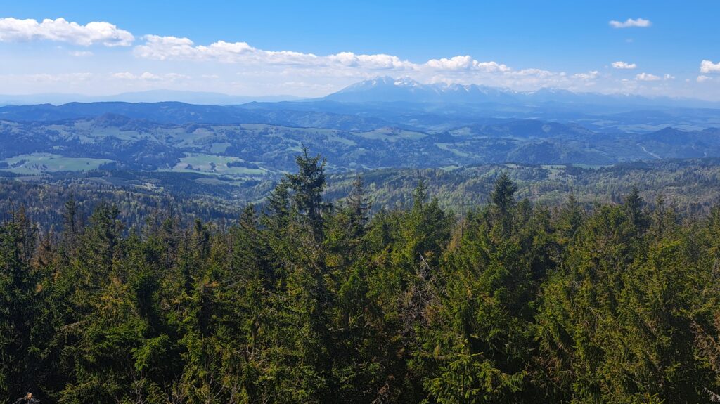 Z wieży- Pieniny i Tatry