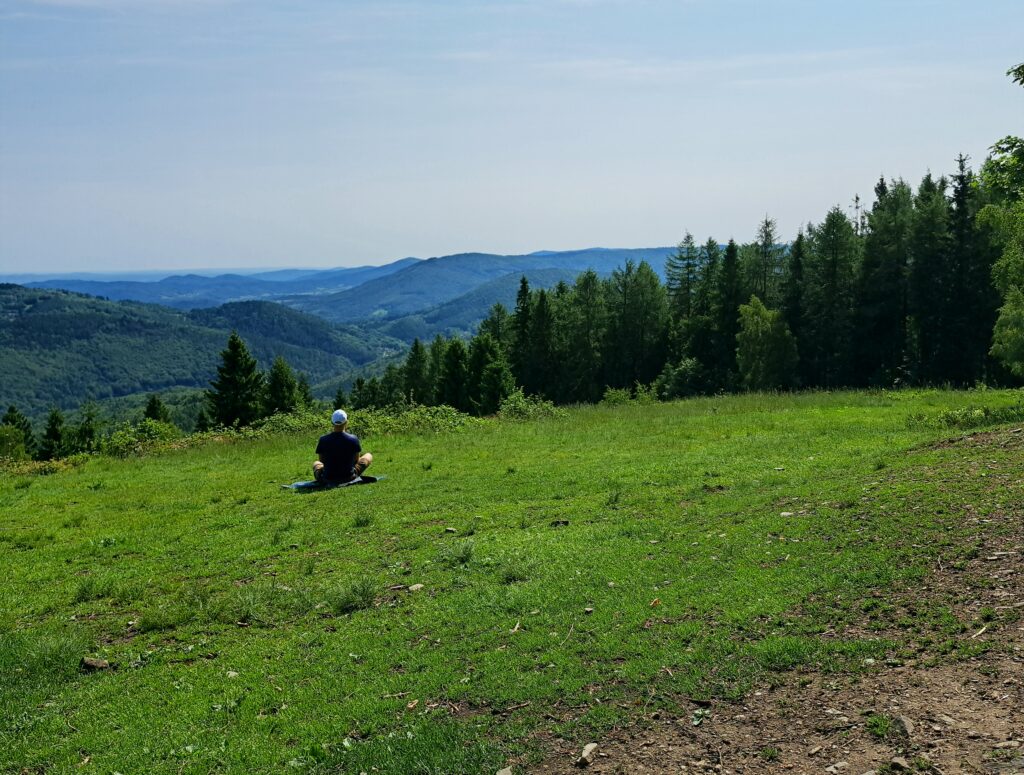 Widok z Kiczery na Beskid Mały