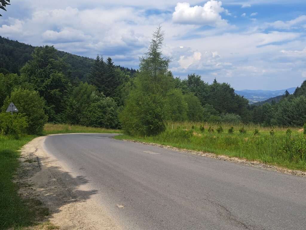Droga powrotna na Wielką Polanę