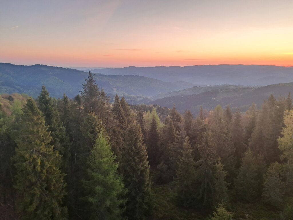 Wschód nad Beskidem Sądeckim