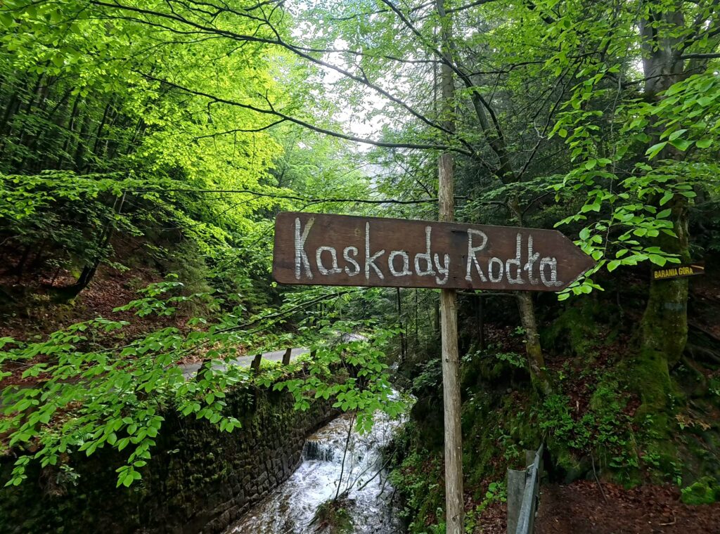 Zakręt na niebieskim szlaku