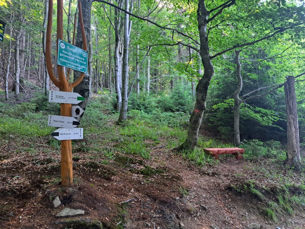 Rozejście szlaków w drodze do schroniska